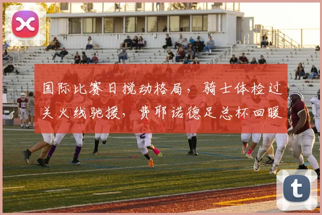国际比赛日搅动格局，骑士体检过关火线驰援，费耶诺德足总杯回暖迎转机